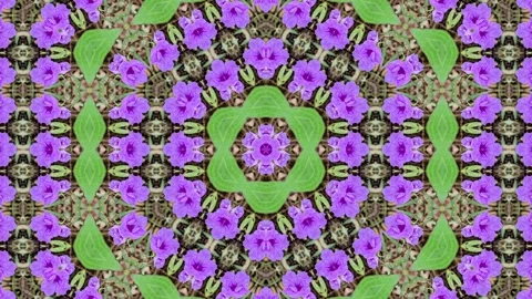 An abstract kaleidoscopic pattern with a symmetrical design, showcasing a m.. Stock Footage 305216992