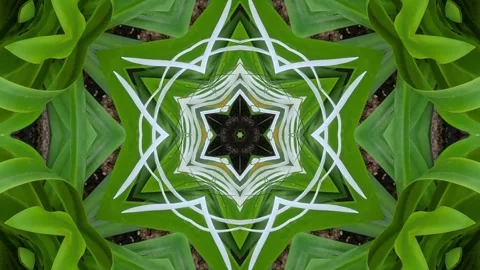 An abstract kaleidoscopic pattern with a symmetrical design, showcasing a m.. Stock Footage 305217542