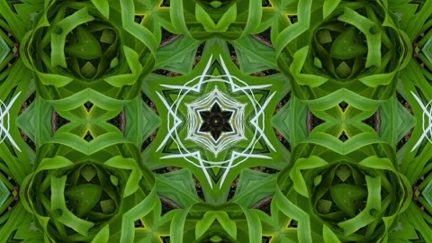 An abstract kaleidoscopic pattern with a symmetrical design, showcasing a m.. Stock Footage 305217544