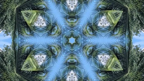An abstract kaleidoscopic pattern with a symmetrical design, showcasing a m.. Stock Footage 305219038