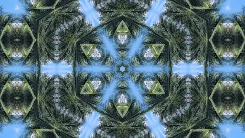 An abstract kaleidoscopic pattern with a symmetrical design, showcasing a m.. Stock Footage 305219143