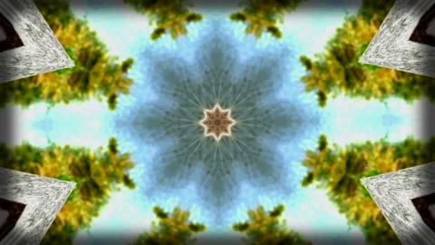 Abstract kaleidoscopic pattern with symmetrical shapes and colors Stock Footage 318799142