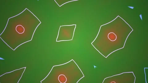 Abstract Kaleidoscopic Patterns Evolving in Vibrant Colors. Stock Footage 334493934