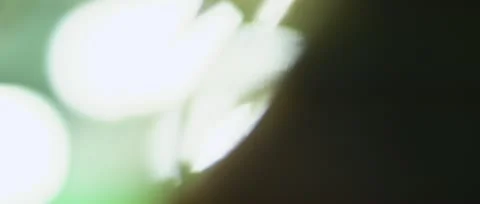 Abstract Kissing 3 Video stock 12584145