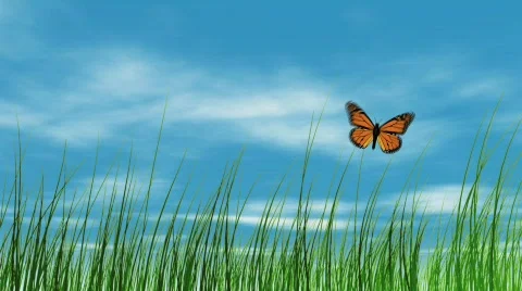 Abstract landscape with butterfly  Stock Footage 677527