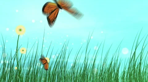 Abstract landscape with butterfly  Stock Footage 677747