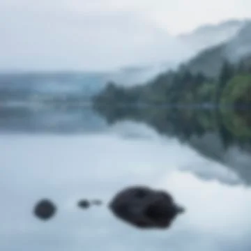 Abstract landscape image with blur filter for use in designs as a background Stock Photos