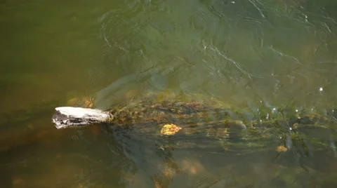 Abstract landscape of the  River Stock Footage 48066227