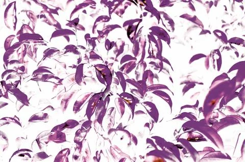 Abstract leaf art texture background Stock Photos