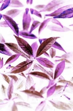Abstract leaf art texture background Stock Photos