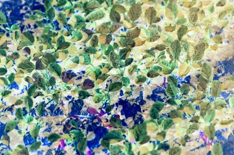 Abstract leaf art texture background Stock Photos