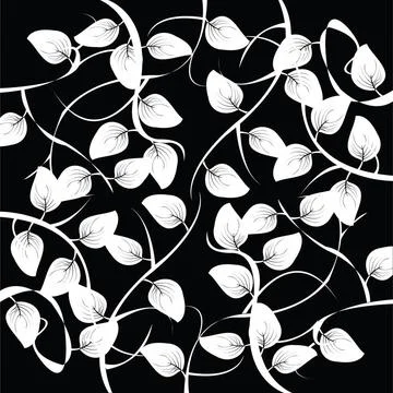 Abstract leaf background Abstract leaf background, black and white vector ... Stock Photos