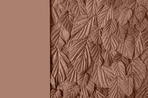 Abstract leaf banner Stock Photos