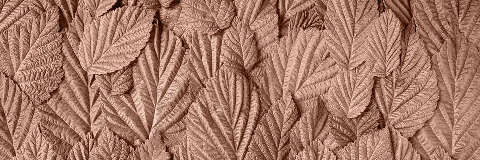 Abstract leaf banner Stock Photos