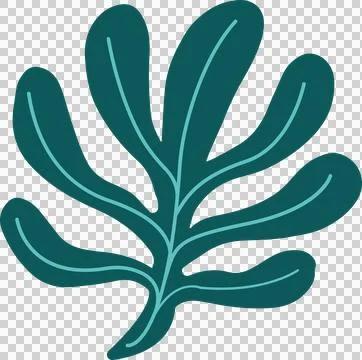 Abstract leaf frond is being shown in flat design with dark teal veins on Stock Illustration