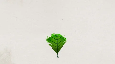Abstract Leaf Icon Paint Ink Drawing Reveal Animation Stock Footage 198186412