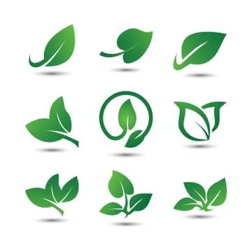 Abstract leaf logo icon template Stock Illustration