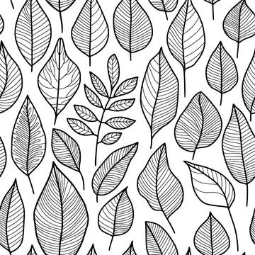 Abstract Leaf Pattern, Black Outline Drawing on a White Background Stock Illustration