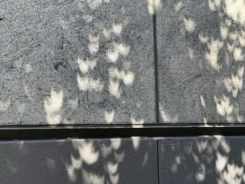 Abstract leaf pattern of crescent shapes created by partial solar eclipse Stock Photos