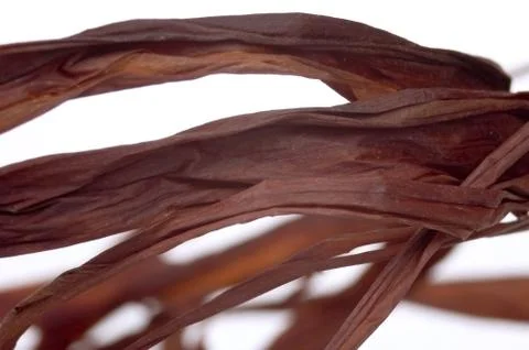 Abstract leaf 스톡 사진