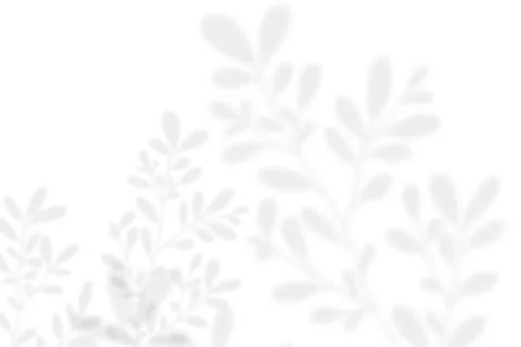 Abstract leaf shadow and light blurred background. Natural leaves tree bran.. Stock Photos