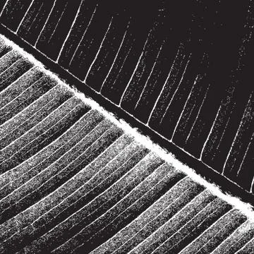 Abstract Leaf Texture Stock Illustration