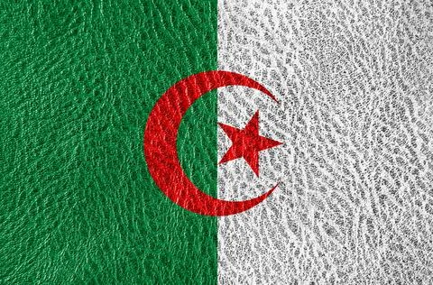 Abstract leather texture with the flag Stock Photos