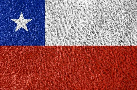 Abstract leather texture with the flag Stock Photos