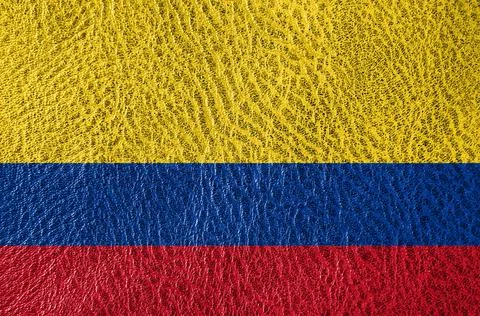 Abstract leather texture with the flag Stock Photos