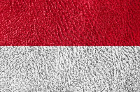 Abstract leather texture with the flag Stock Photos
