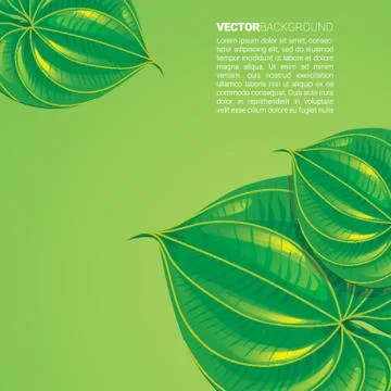 Abstract Leaves Background Stock Illustration
