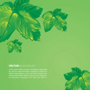 Abstract Leaves Background Stock Illustration