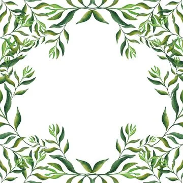 Abstract leaves. Frame of beautiful green twigs on a white background. For your Stock Illustration