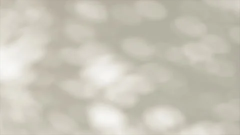 Abstract leaves shadow background with light bokeh falling on white wall and Vídeo Stock 231048054