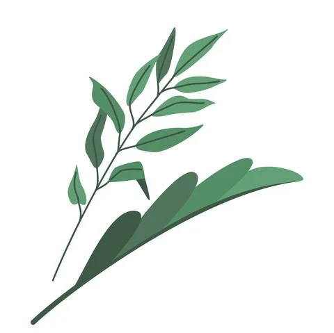 Abstract leaves vector illustration isolated on white background in modern Stock Illustration