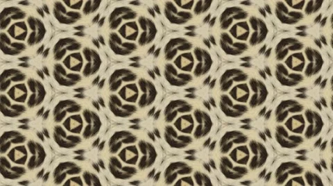 Abstract leopard background animation Stock Footage 51688854