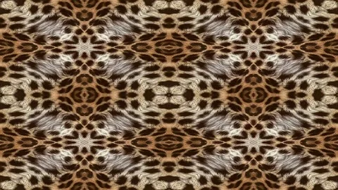 Abstract leopard background animation Stock Footage 71261227