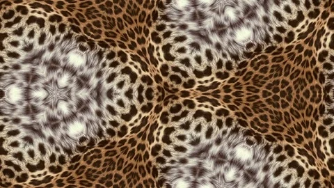 Abstract leopard background animation Stock Footage 71261464