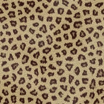 Abstract leopard hair texture background Illustrazione stock