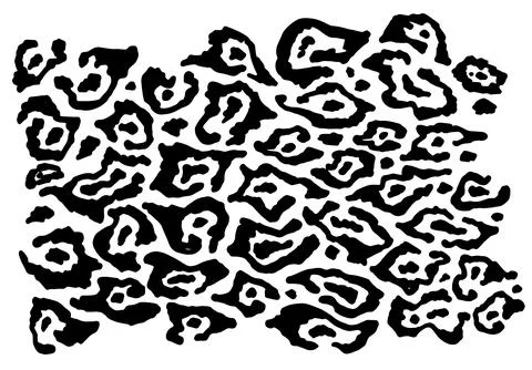 Abstract leopard skin design template. Jaguar, leopard, cheetah, Panther. Black Stock Illustration