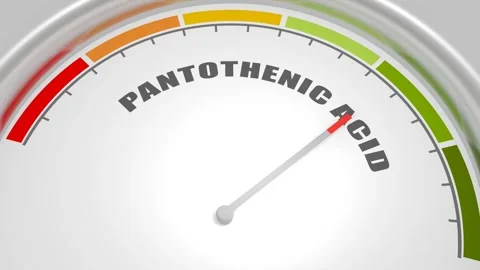Abstract level indicator of Vitamin B5 level. Infographics animation. Video stock 302052603