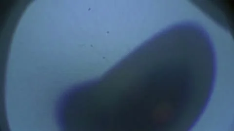 Abstract Light 2 Stock Footage 10852983