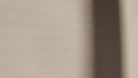 Abstract Light and Shadow Play on Neutral Wall Background Stock-Footage 263928191