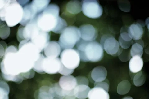 Abstract Light and Shadow: Play of Sunlight Through Foliage Creating a Boke.. Stock Photos