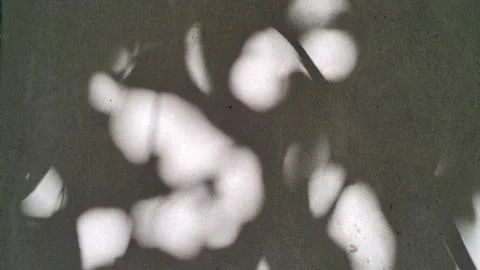 Abstract light bokeh background with soft glowing white circles 스톡 사진