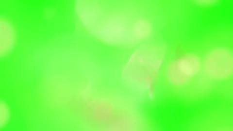 Abstract light bokeh particles floating on a solid green screen background for Stock Footage 345807766