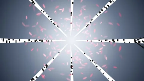 Abstract Light Burst with Radial Streaks and Particles During Night Celebrati Stock Footage 344843317