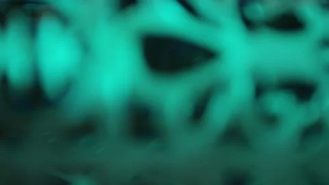 Abstract light cage capture Stock Footage 141681874