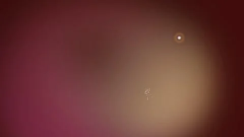 Abstract Light Effects with Blurred Backgrounds. Stock Footage 329499044