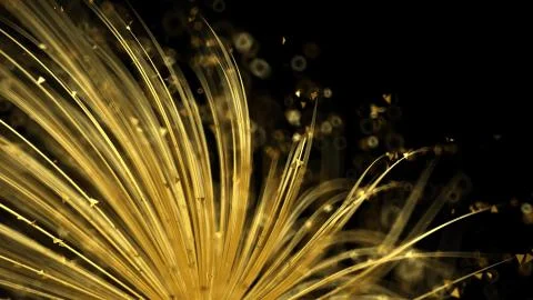 Abstract light glowing gold shape black background. 3d illustration, 3d rende 스톡 일러스트